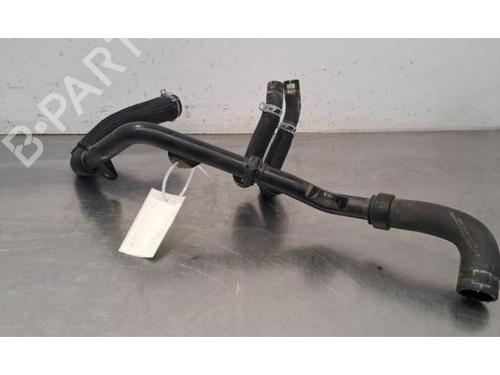 Used Pipe NISSAN JUKE (F16_) DIG-T 117 (117 hp) 29881641