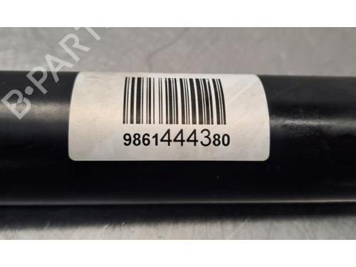 Right rear shock absorber CITROËN C3 IV (CC_, CB_) ë-C3 (CBZYAZ) | BP31162258M19