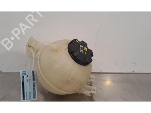 Expansion tank BMW X3 (G01, F97, G08) xDrive 20 d Mild-Hybrid | BP32408269C120