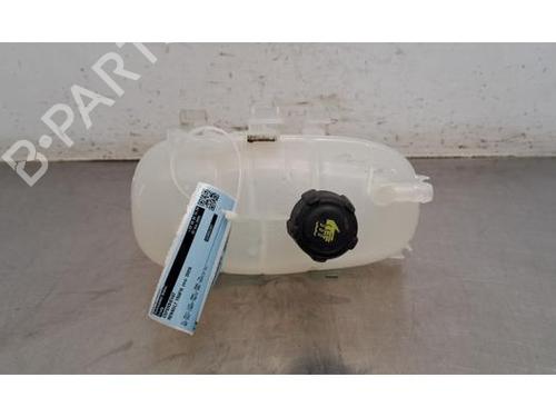 expansion-tank-renault-trafic-iii-van-fg_-2014-36872788 main image