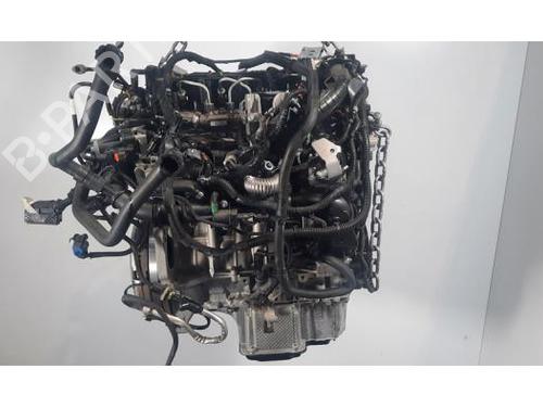 Motor PEUGEOT EXPERT Van (V_) 1.5 BlueHDi 120 (120 hp) 27306257