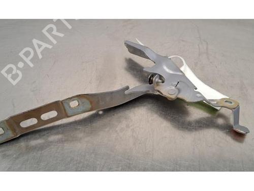 Hinge/Door check strap PEUGEOT 2008 II (UD_, US_, UY_, UJ_, UR_, UC_) 1.5 BlueHDI 100 | BP28067477C146 