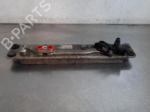 Used Oil radiator Oil radiator BMW X6 (E71, E72) xDrive 50 i (408 hp) 40552896 40552896