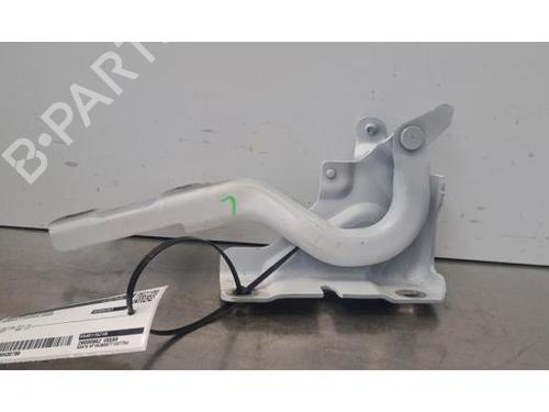 hingedoor-check-strap-renault-captur-ii-hf_-2020-40050149 main image