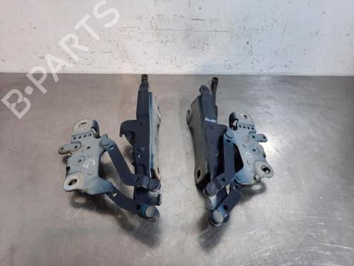 Hinge/Door check strap BMW 1 (F20) 116 d | BP23584923C146