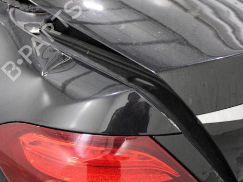 - Image 7
