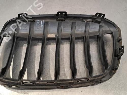 Grille BMW X1 (F48) sDrive 16 d | BP23603299C40 