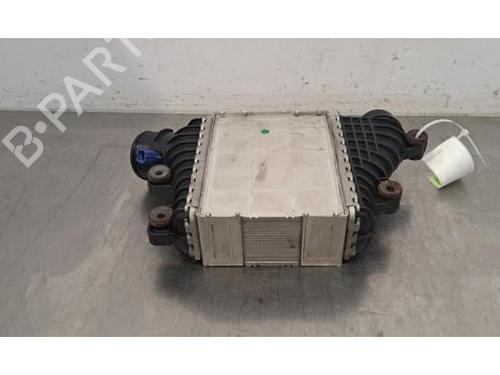 Intercooler LAND ROVER RANGE ROVER EVOQUE (L538) 2.0 D 4x4 | BP30163607M30