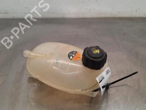 Used Expansion tank NISSAN JUKE (F16_) DIG-T 117 (117 hp) 23610669
