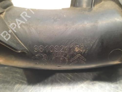 Pipe PEUGEOT TRAVELLER Bus (V_) 1.5 BlueHDi 120 | BP23602428M125