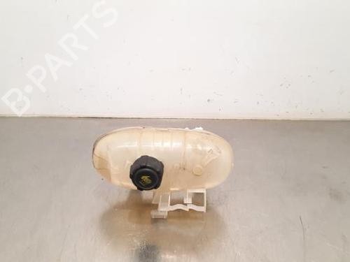 Ekspansjonstank RENAULT KANGOO Express (FW0/1_) 1.6 (FW00, FW0E, FW0N, FW0P, FW0Y) (87 hp) 23585199