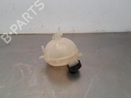 Used Expansion tank PEUGEOT 208 II (UB_, UP_, UW_, UJ_) 1.5 BlueHDI 100 (102 hp) 23599814