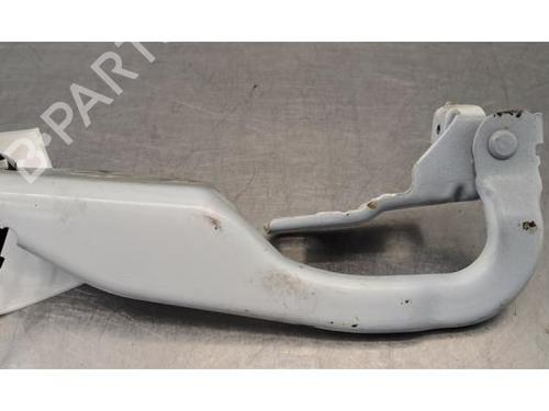 hingedoor-check-strap-dacia-duster-hm_-2017-40483916 main image