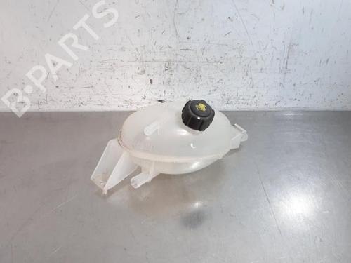 Used Expansion tank NISSAN INTERSTAR Van (X62B) dCi 180 (179 hp) 24919002
