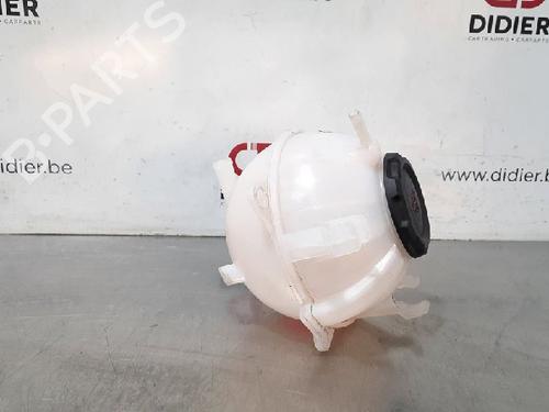 Used Expansion tank VW CADDY IV Box Body/MPV (SAA, SAH) 2.0 TDI (102 hp) 10876083