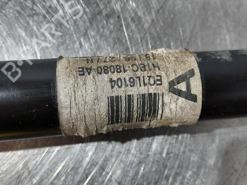 Right rear shock absorber FORD FIESTA VII (HJ, HF) 1.0 EcoBoost | BP10875157M19 