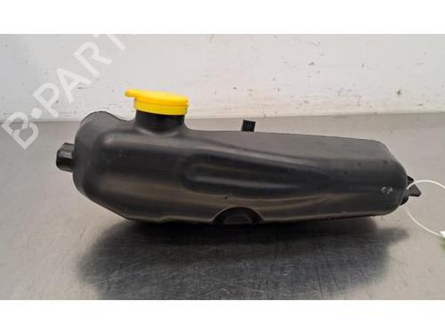 Windscreen washer tank DACIA DUSTER (HM_) 1.0 LPG (HMMT) | BP29388951C113 