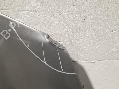 Hood RENAULT CLIO III (BR0/1, CR0/1) 1.2 16V (BR0R, BR1D, BR1L, CR0R) | BP15032899C1 