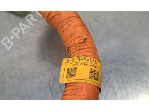Cable KIA SORENTO IV (MQ4, MQ4A) 1.6 T-GDi Hybrid AWD | BP24231491E12 