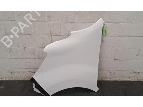 Used Left front fenders RENAULT MASTER III Van (FV) 2.3 dCi 135 FWD (FV0N, FV08, FV06, FV00, FV1S) (136 hp) 29879434