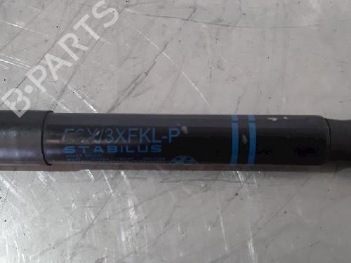 Hood lift support BMW 2 Coupe (F22, F87) 220 i | BP15017659C139 