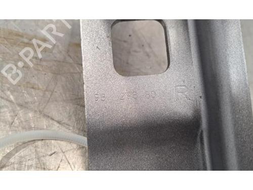 Hinge/Door check strap PEUGEOT 308 SW III (FC_, FJ_, FR_, F4_, FN_) PureTech 130 (FRHNSL, FRHNST) | BP29317863C146 