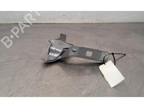 Used Hinge/Door check strap PEUGEOT 308 III (FB_, FH_, FP_, F3_, FM_) e-308 (FMZKWZ) (156 hp) 29317963