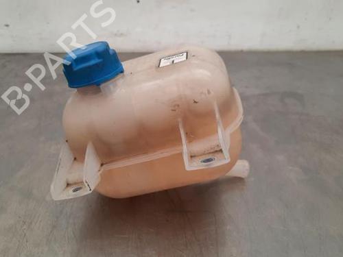 Expansion tank FIAT DOBLO Cargo (263_) 1.3 D Multijet (263WXU1A, 263ZXU1A, 263WYB1A, 263ZYB1A) | BP23597952C120 