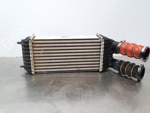 Used Intercooler CITROËN C3 III Van (SX_, SY_) BlueHDi 100 (102 hp) 10901021