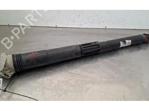 Used Right rear shock absorber Right rear shock absorber 39418169 39418169