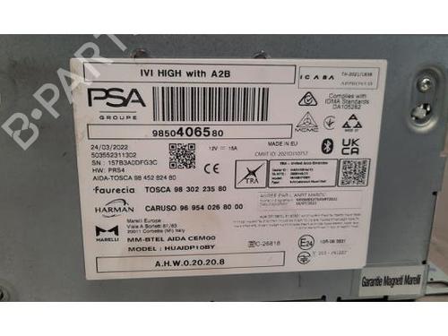 Bilradio DS DS 9 (X2_) 1.6 PureTech 225 (X25GGR) | BP25125425E6 