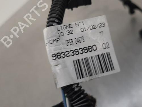Cable PEUGEOT 208 II (UB_, UP_, UW_, UJ_) e-208 | BP17114090E12 