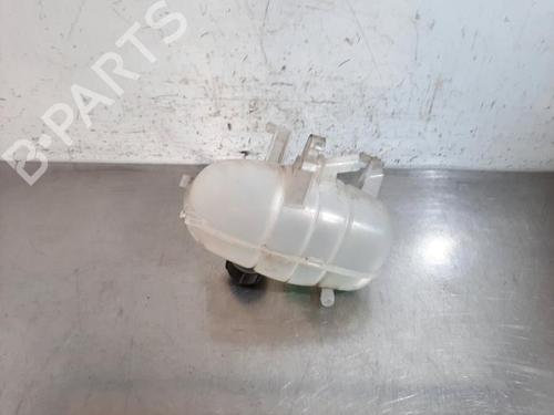Expansion tank RENAULT TRAFIC III Van (FG_) 2.0 dCi 145 (FGML) | BP25610601C120 