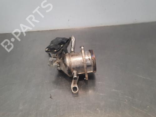 Egr NISSAN NV250 Van (X61) dCi 95 | BP15788360M69 