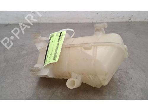 Expansion tank RENAULT KANGOO Express (FW0/1_) 1.5 dCi 95 (FW16) | BP26048888C120 