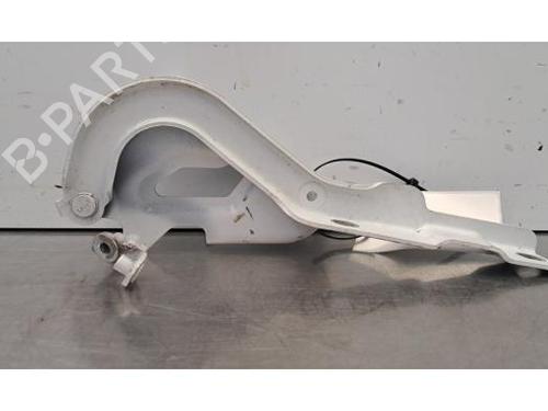 Used Hinge/Door check strap Hinge/Door check strap DACIA SANDERO III 1.0 SCe 65 (67 hp) 40050042 40050042