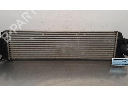 Used Intercooler Intercooler FORD FOCUS IV (HN) 1.0 EcoBoost (125 hp) 33751087 33751087