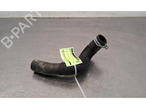 Used Pipe RENAULT CAPTUR II (HF_) TCe 90 (HFM6) (91 hp) 29234138