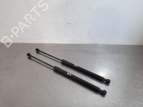 Gassdemper Bakluke RENAULT CLIO IV (BH_) 1.5 dCi 75 (75 hp) 17112985