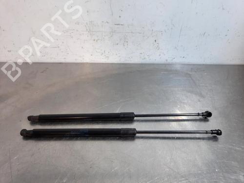 Used Tailgate lift support RENAULT SCÉNIC IV (J9_) 1.5 dCi 110 (110 hp) 23583621