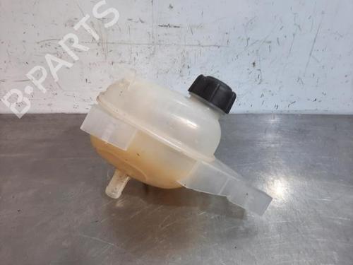Expansion tank RENAULT TWINGO III (BCM_, BCA_) 1.0 SCe 70 | BP19632884C120 
