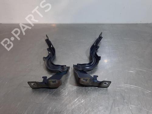 Hinge/Door check strap FIAT TIPO Hatchback (356_, 357_) 1.3 D (356HXH1A) | BP23578799C146 