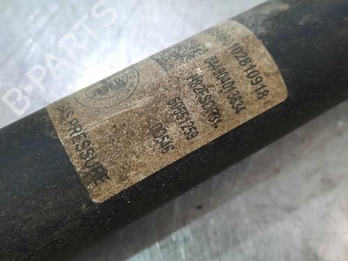 Left rear shock absorber ALFA ROMEO STELVIO (949_) 2.2 D (949.AXD1A) | BP10889514M18 