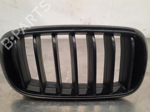 Used Grille BMW X5 (F15, F85) xDrive 30 d (258 hp) 20082348