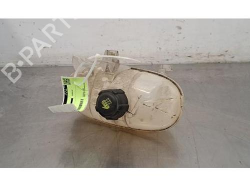 Used Expansion tank RENAULT TRAFIC III Van (FG_) 1.6 dCi 120 (FGMB, FGMC) (120 hp) 25479333