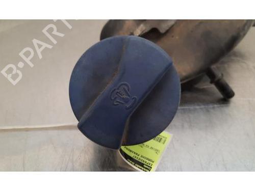 Expansion tank PORSCHE PANAMERA (970) 4.8 4S | BP24919191C120 