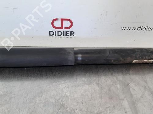 Used Right rear shock absorber FORD RANGER (TKE) 2.0 EcoBlue 4x4 (213 hp) 10879478
