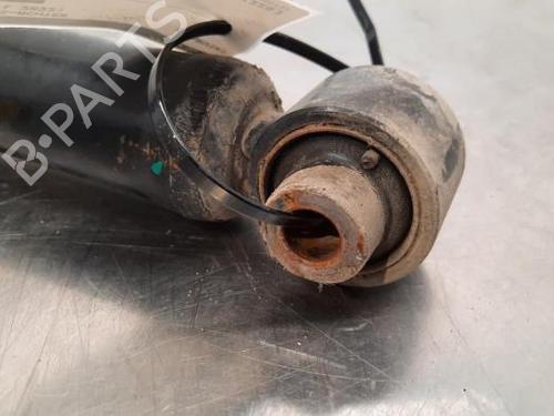 Right rear shock absorber TESLA MODEL Y (5YJY) Long Range All-wheel Drive | BP23617259M19 