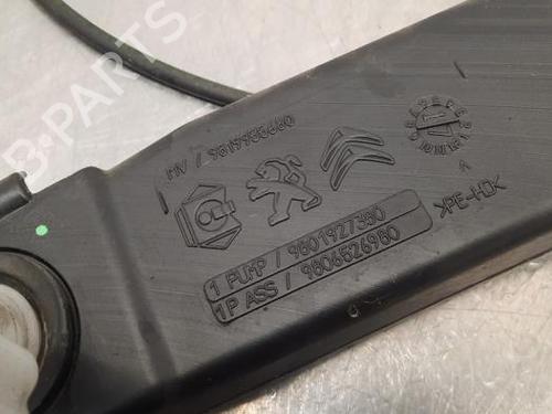 Windscreen washer tank PEUGEOT 308 II (LB_, LP_, LW_, LH_, L3_) 1.6 BlueHDi 120 | BP17114843C113