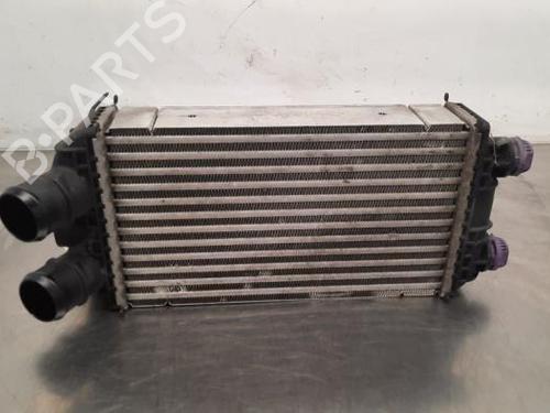 Used Intercooler PEUGEOT 2008 II (UD_, US_, UY_, UJ_, UR_, UC_) 1.2 PureTech 130 (USHNS, URHNS) (130 hp) 23617346